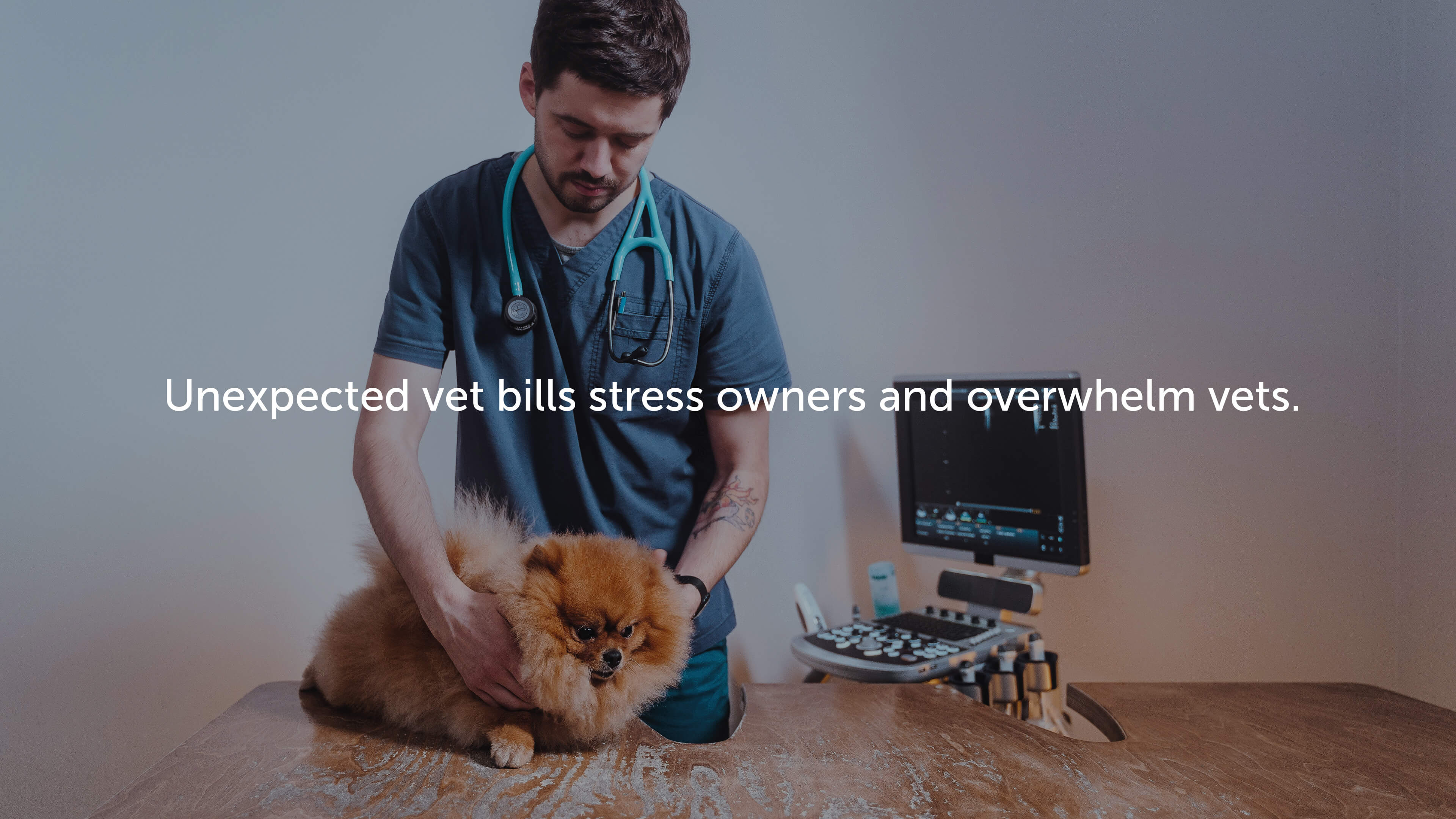 Unexpected vet bills stress owners and overwhelm vets