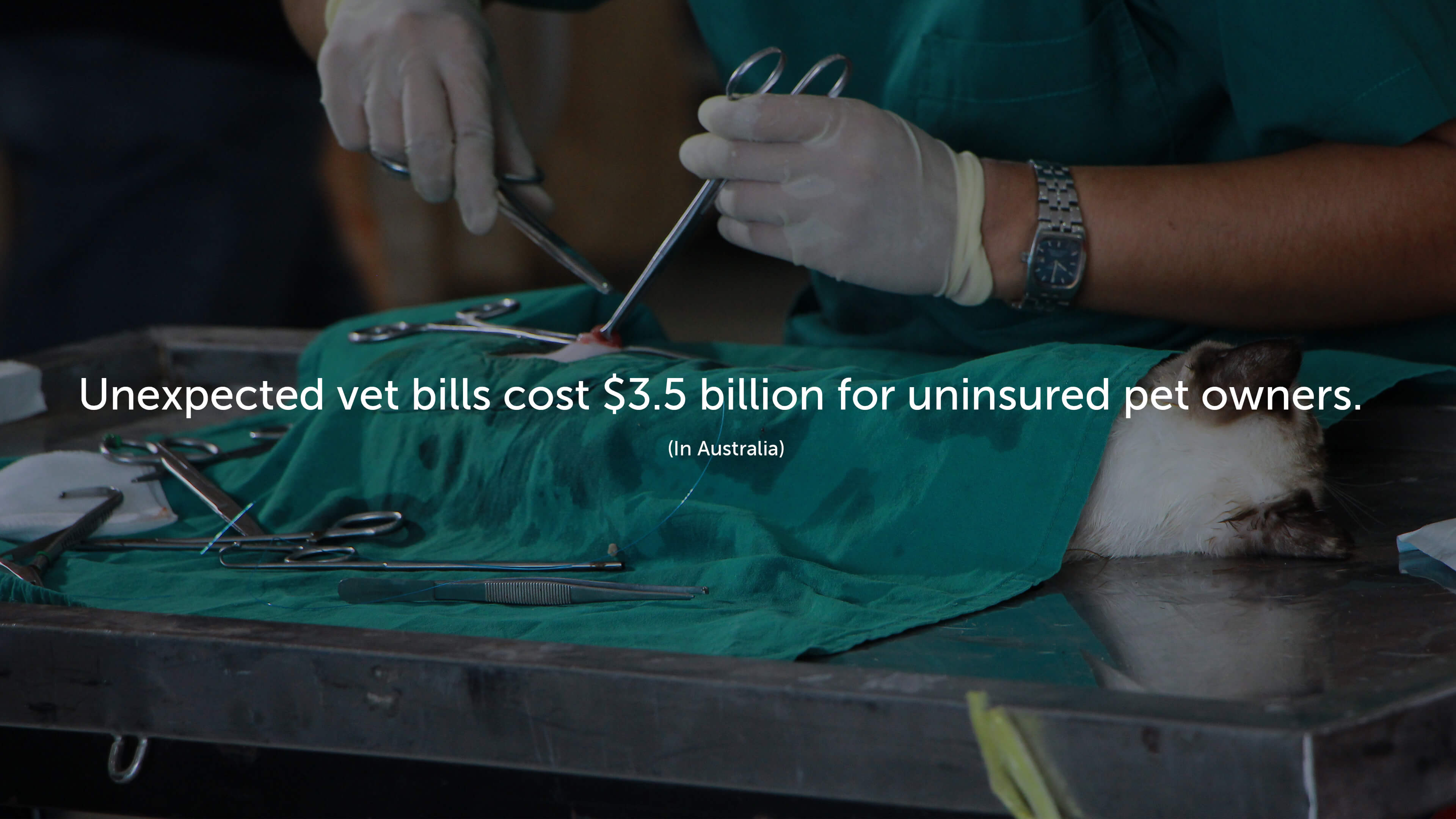 Unexpected vet bills cost $3.5 billion for uninsured pet owners in Australia